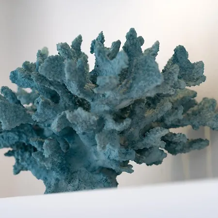 Διαμέρισμα Dona Beach Περίσσα